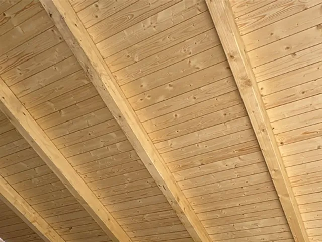 panel sandwich madera con friso de abeto natural en cubierta interior de vivienda